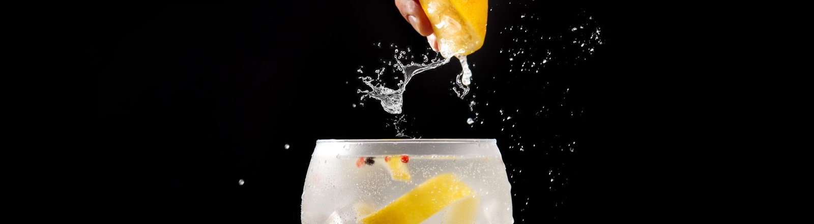 Quels sont les meilleurs gin