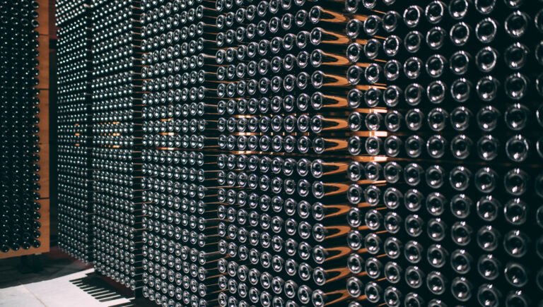 Comment ranger ses bouteilles de vin en caves et cave à vin