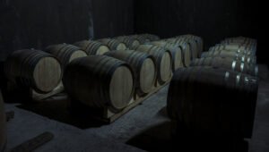 Température idéale d'une cave à vin : quelle est la meilleure pour conserver ?
