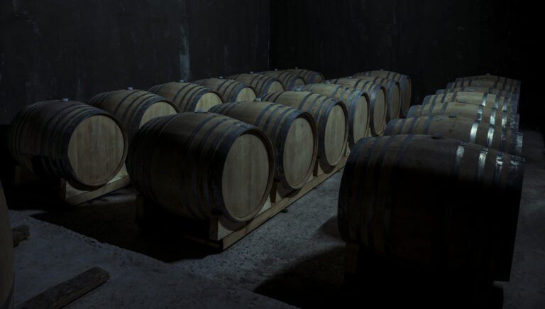 Température idéale d'une cave à vin : quelle est la meilleure pour conserver ?
