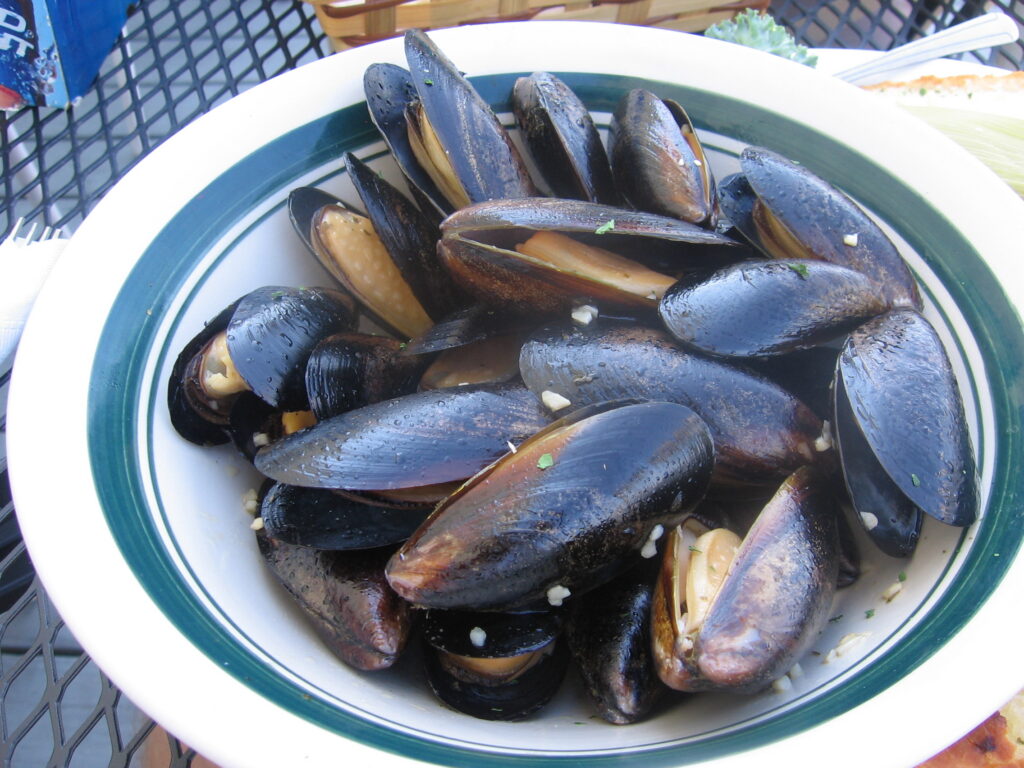 Plat de moules cuisinées