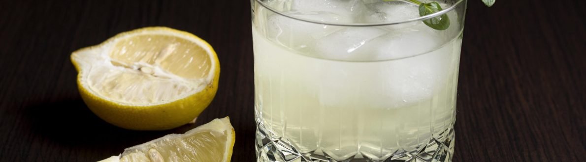 gin-fizz Gin Fizz
